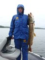 Rob Linn - DSC07067